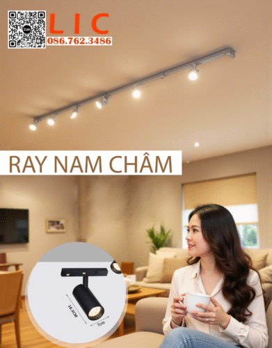 RAY NAM CHAM 11
